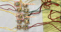 Dây đeo bản tôn