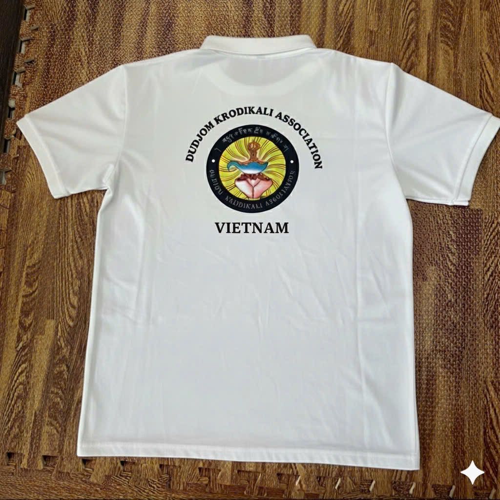 Trang chủ 15 ao phong