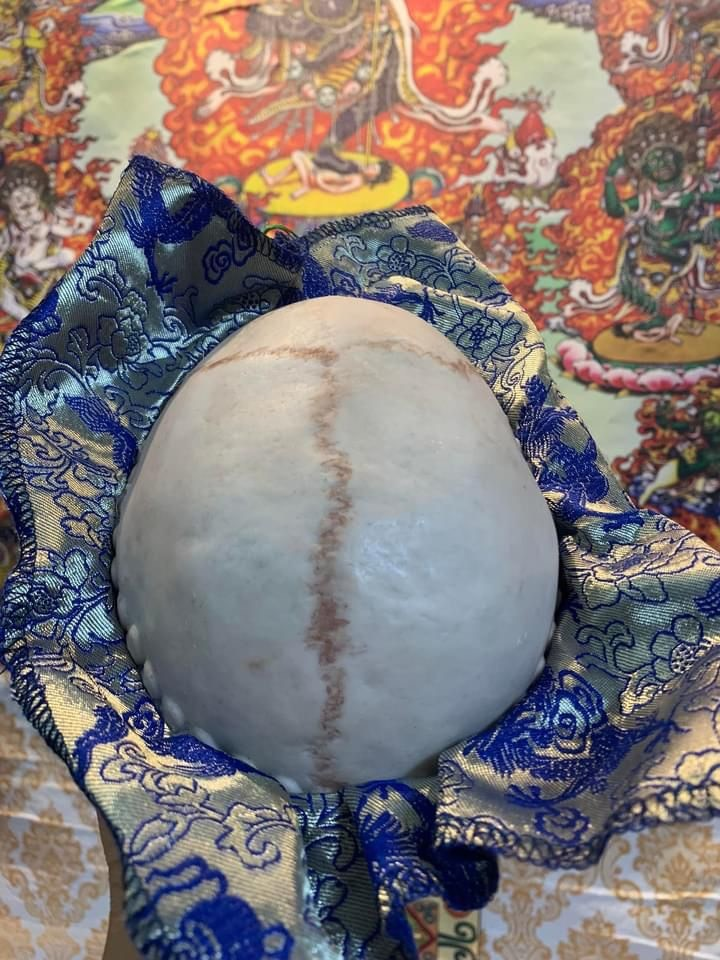 Bảo bình chén sọ Troma Nagmo